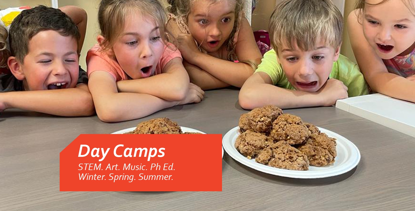 Toronto Day Camp | Private School in Toronto